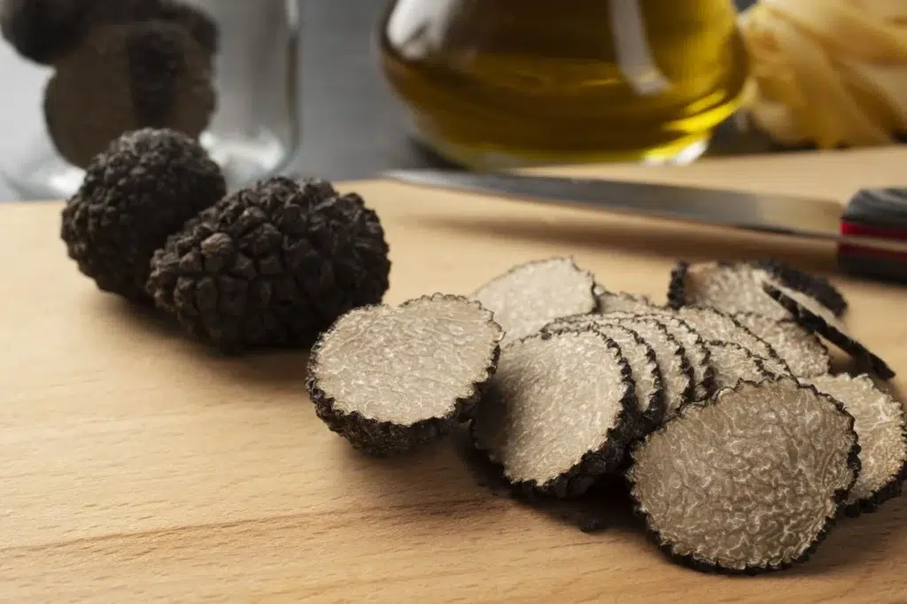 Fotografía para tervan editorial de Trufas Negras