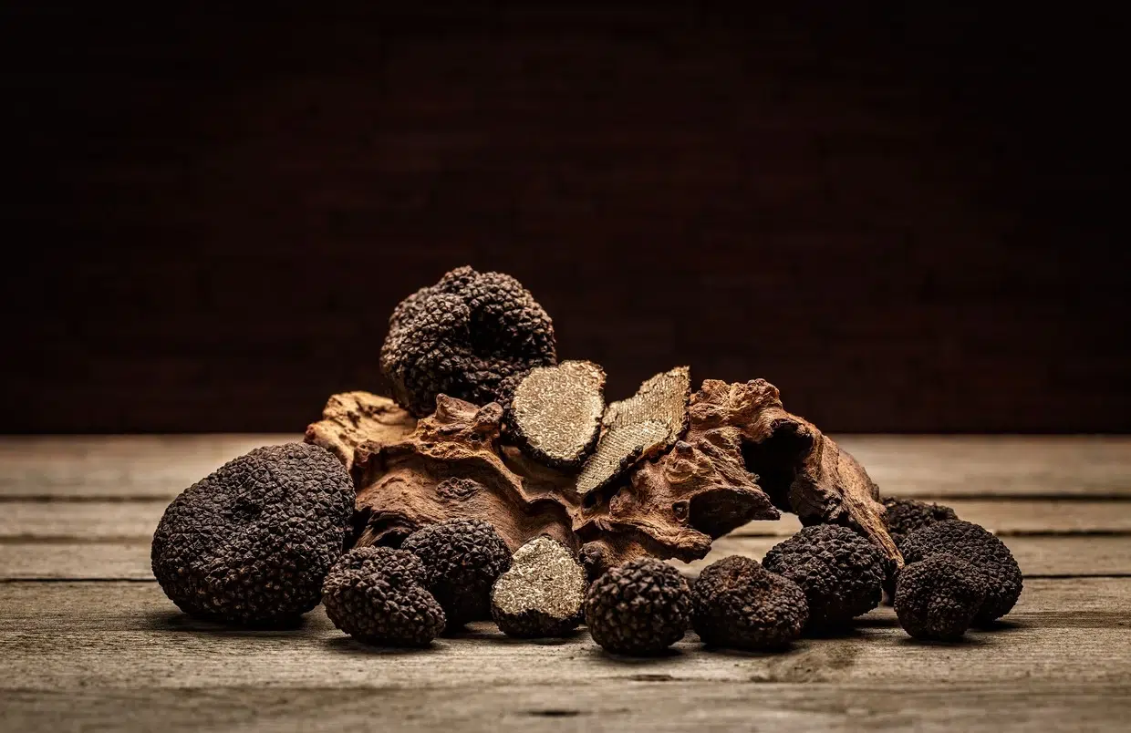 Trufas Negras y Blancas amontonadas en una imagen
