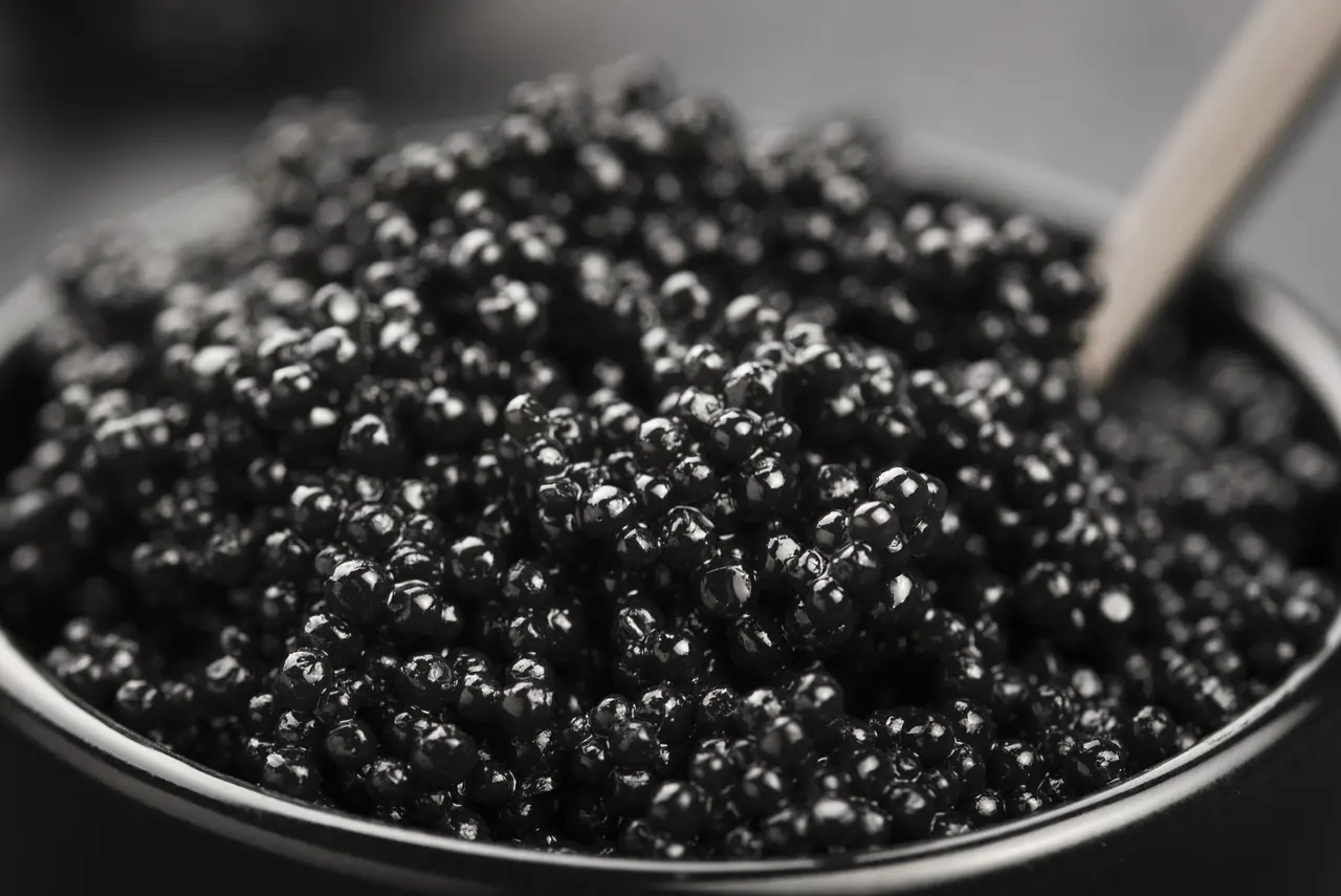 Caviar de beluga mostrado en recipiente