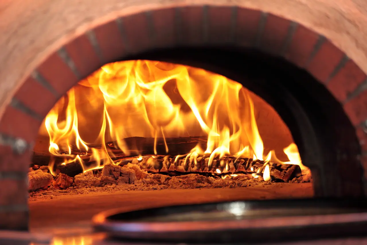 cocinar en horno de leña con tervan editorial