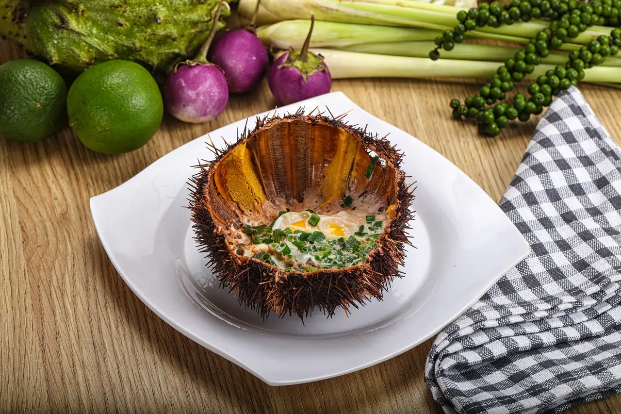 Receta para cocinar erizo de mar en tervan editorial