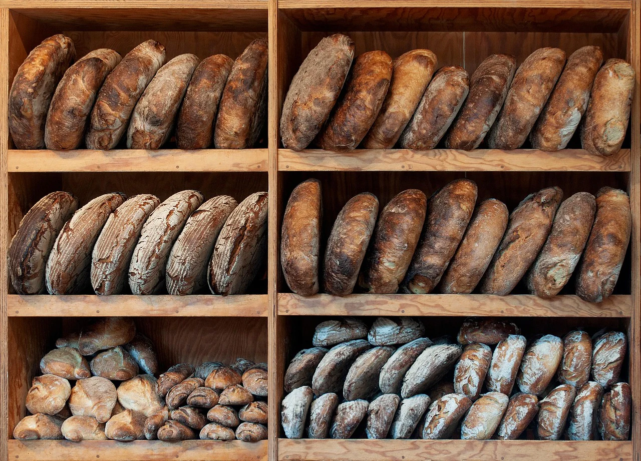 Diferentes tipos y clases de panes de masa madre