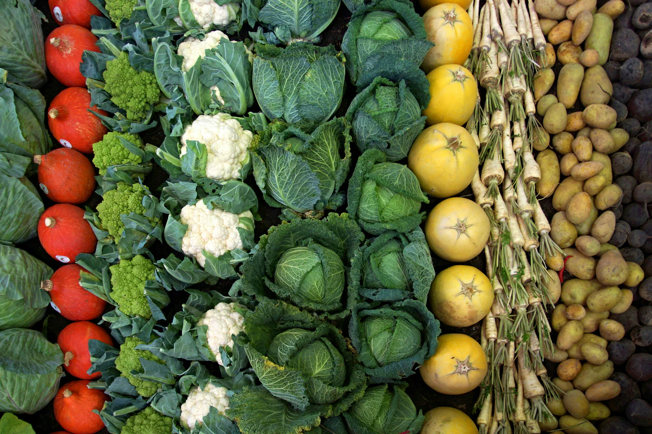 Verduras y tubérculos variados
